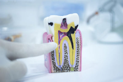 dental fillings explanation